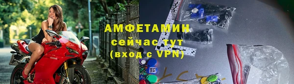 хмурый Белокуриха