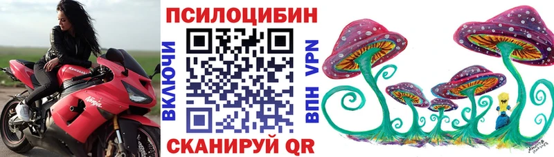 Псилоцибиновые грибы GOLDEN TEACHER  купить наркотики сайты  Костомукша 